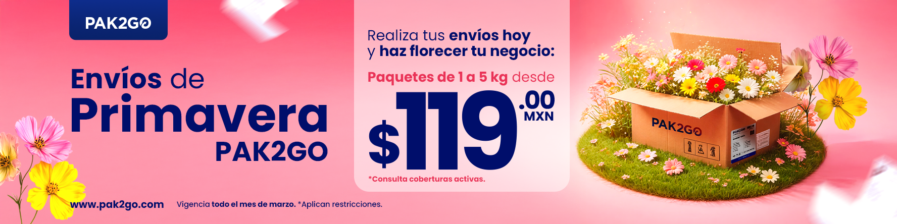 20260301 pak2go banner promo 119 1777x444 png